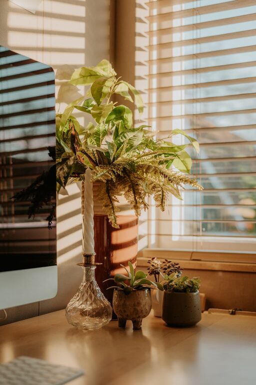 Tips for Creating a Productive Home Office Environment