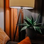 Simple Tips to Create a Cosy and Inviting Living Space in Your Home